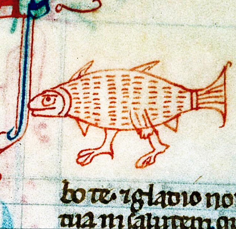 Annoyed at being stuck in the middle of the evolutionary process  -  Alençon, Bibliothèque municipale, 0056, f. 250