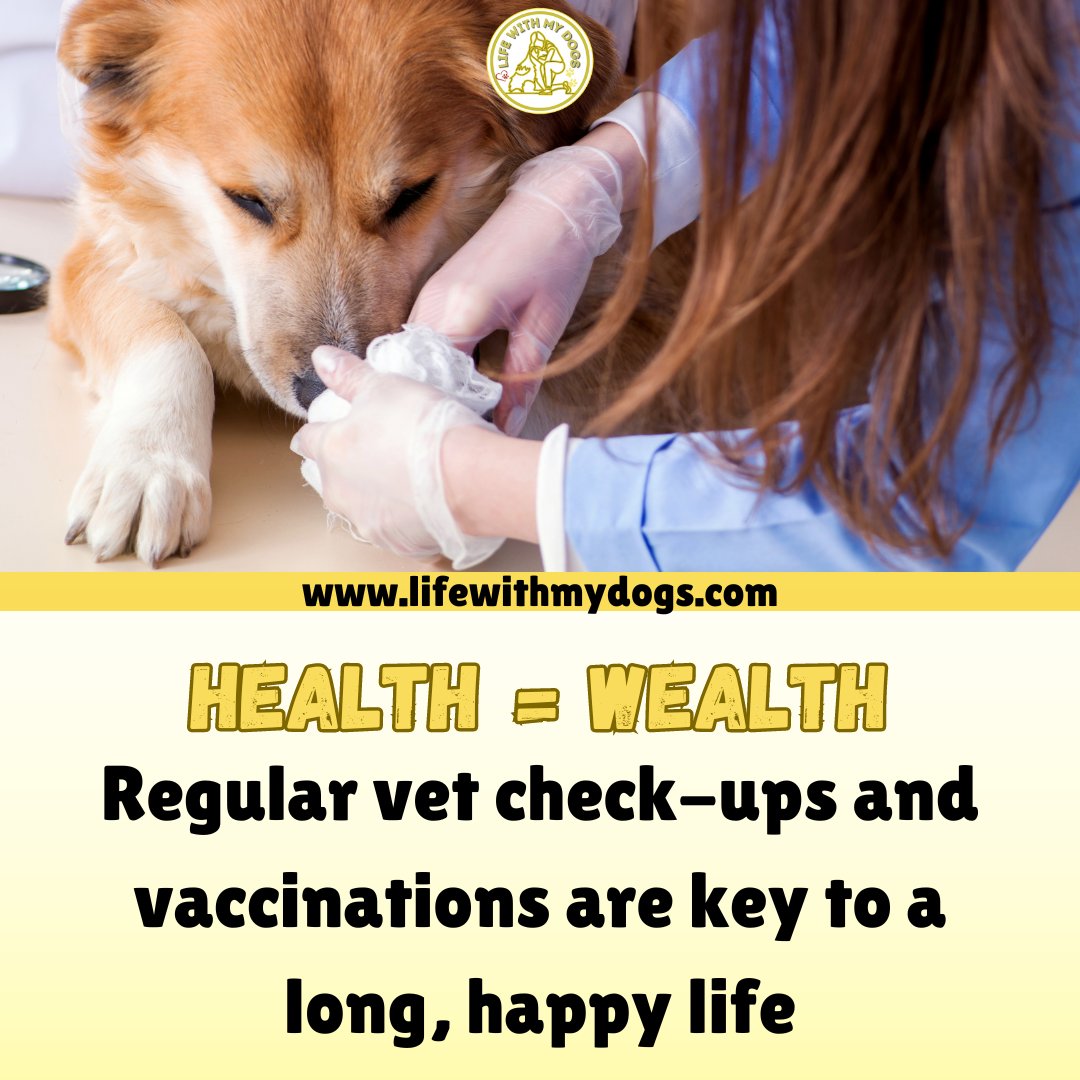 A wealth of well-being begins with a healthy foundation: Keep your furry friend happy and thriving with routine vet care. 💼🐶 Discover more dog information, visit lifewithmydogs.com  #doghealth #dogtips #healthydogs #lifewithmydogs