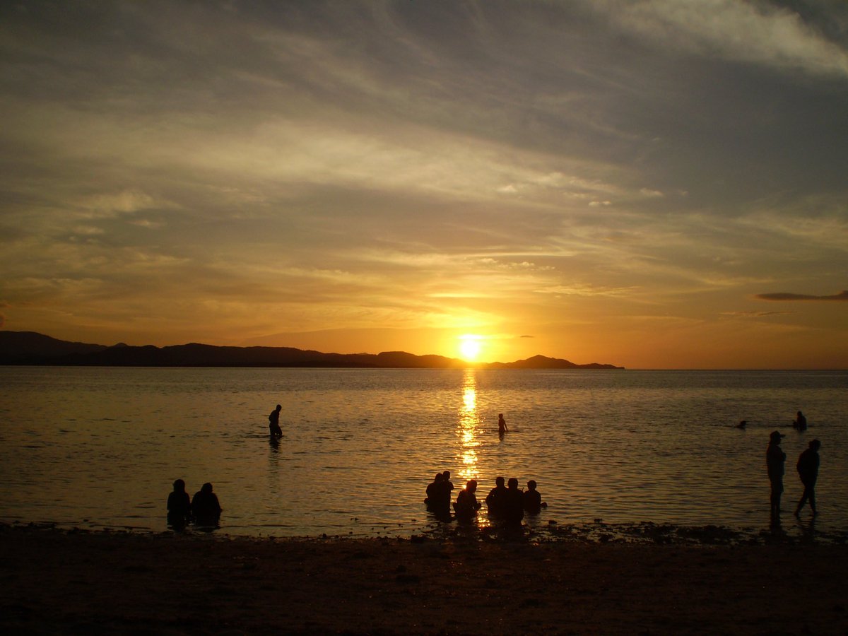 ■■■ 🇵🇭🐶🐱 tweet media