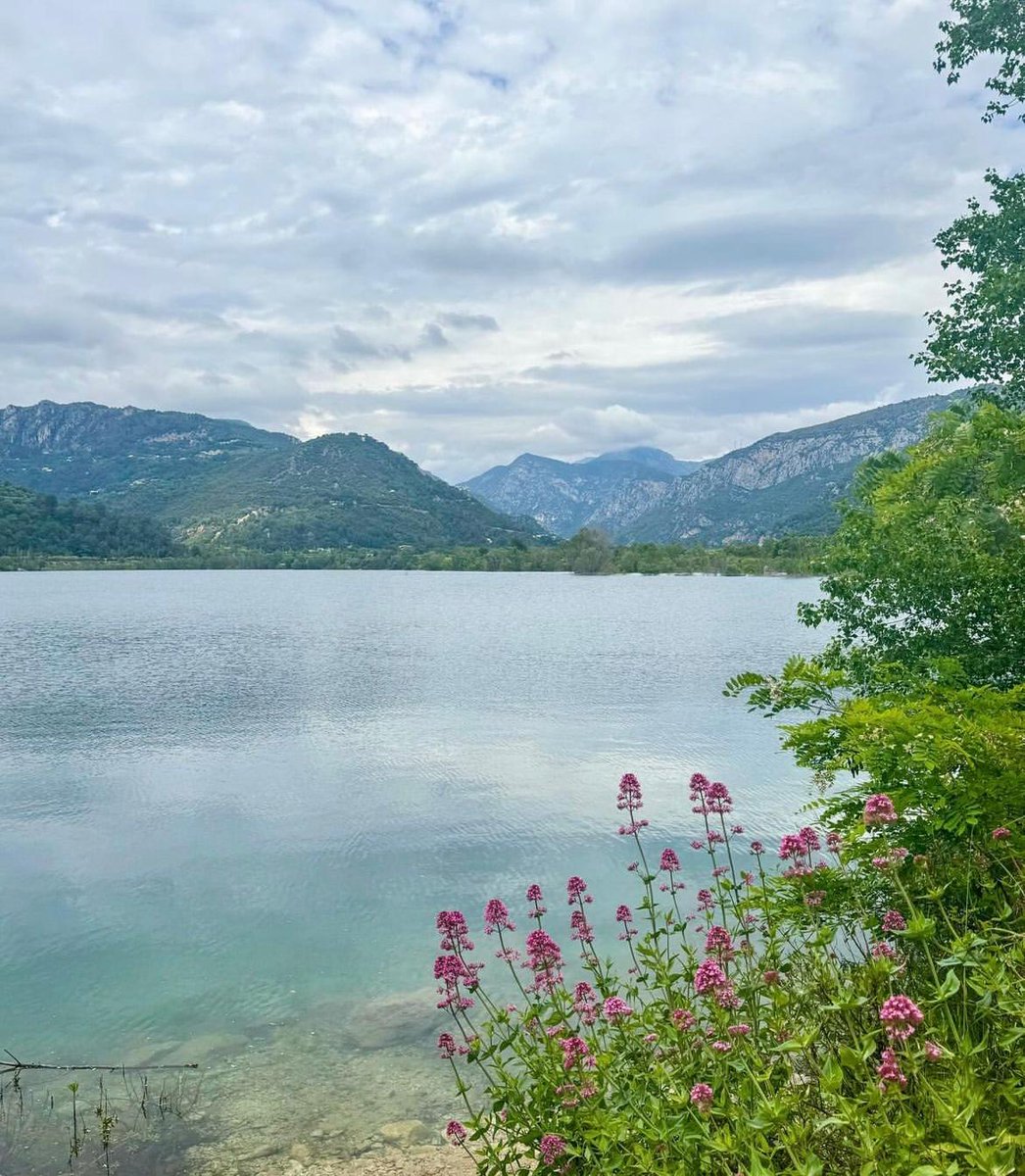 (Re)Découvrez chaque jour le #Département06 en photo ! Partagez vos plus beaux clichés du Département avec #AlpesMaritimes

L'équipe du Département vous souhaite une belle journée ☀️

📸 clefdureve (IG) /Lac du Broc

#CotedAzurFrance #VisitCotedAzur @VisitCotedazur