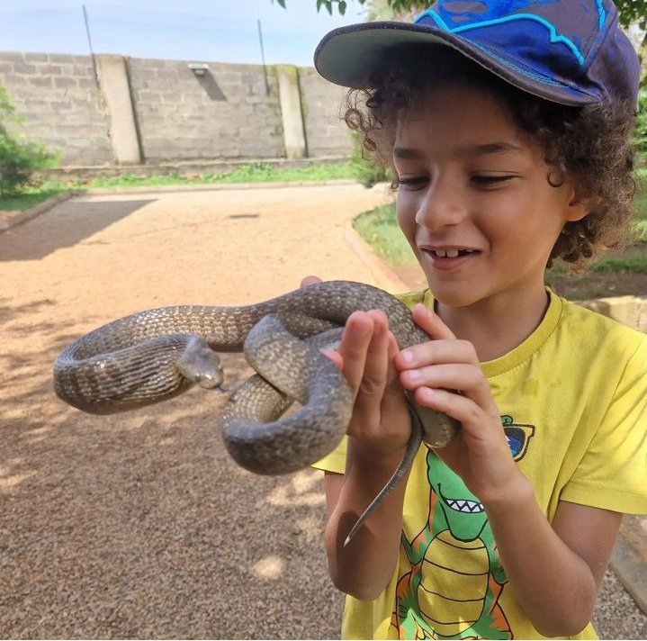 Did you know that a large part of uganda's snakes are harmless? Meet Daisy a friendly egg eating snake @ctcconservation in Butambala District. These make good pets for the young and reptile enthusiasts. #ctcconservationcenter