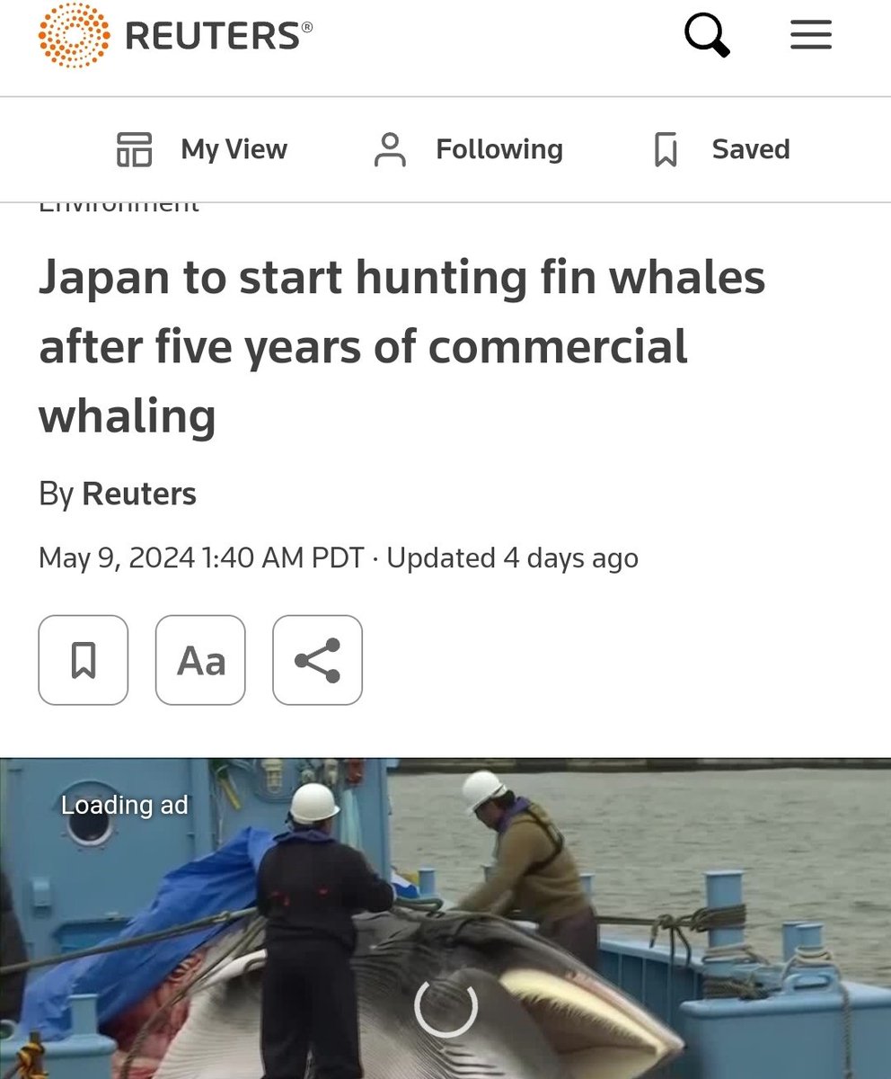 I have different priorities than other accounts. The continuation of whaling for Norway, Faroe Islands, Japan, etc...I've been fighting these terrorists a decade before you realized liberals were this crazy. In fact, I wouldn't be surprised if some Antifa members used to be Sea…