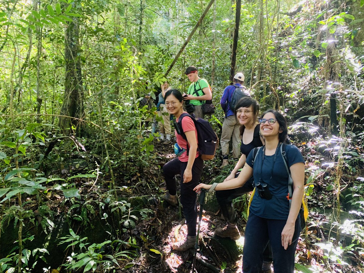 Updates from Marojejy Madagascar 🌴🍈🦟🐒