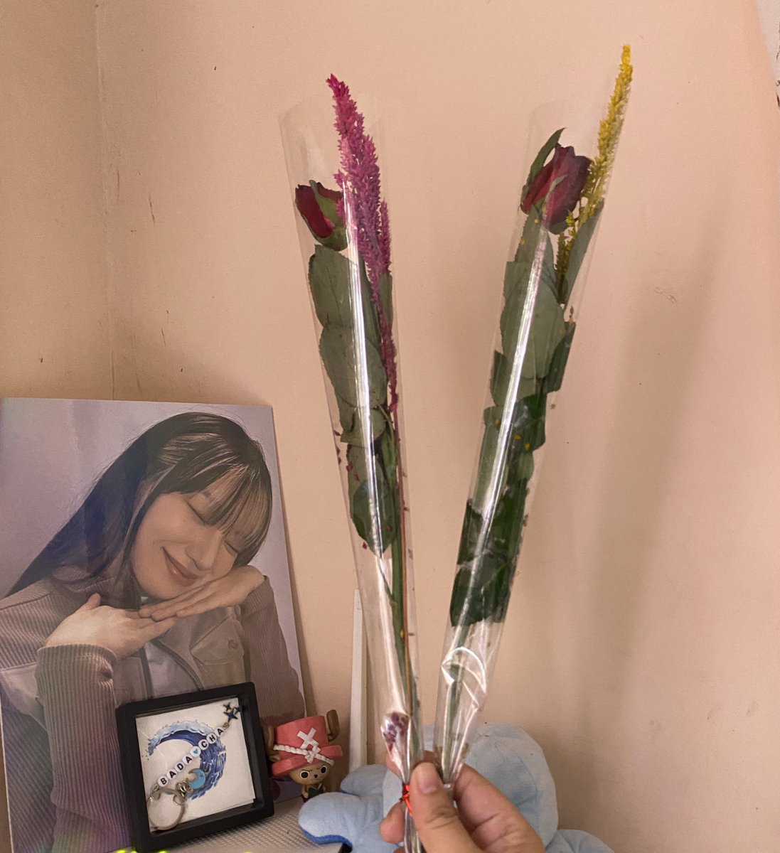 I got Roses yesterday from my pocky fam. 🥹 Happy Furmom Day to me. 💖