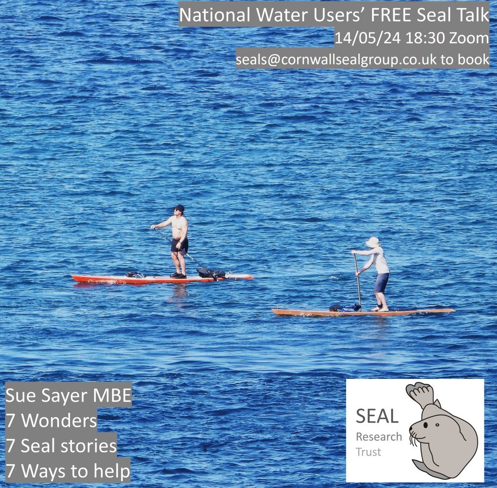 🦭 Paddling this summer? Join our FREE Water Users’ talk TOMORROW - Tuesday 14th May - at 18:30! ‘7 Wonders, 7 Stories and 7 Ways to Help’ Discover their amazing senses and abilities; Hear celebrity seal stories; Learn 7 ways you can help seals Email seals@cornwallsealgroup.co.uk