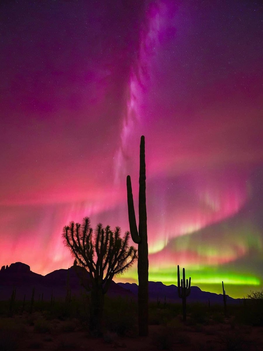 Northern Lights in Arizona