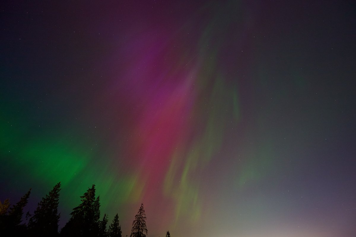 I finished processing my Aurora photographs - here are a few more taken from West Vancouver #Aurora #BritishColumbia