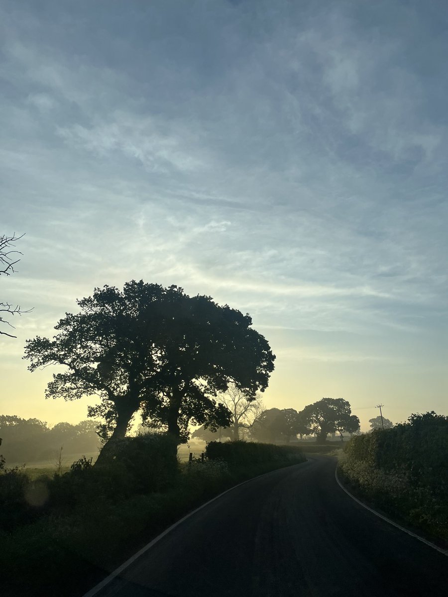 What a gorgeous morning. A new week full of hope and new opportunities. Have a good one folks!