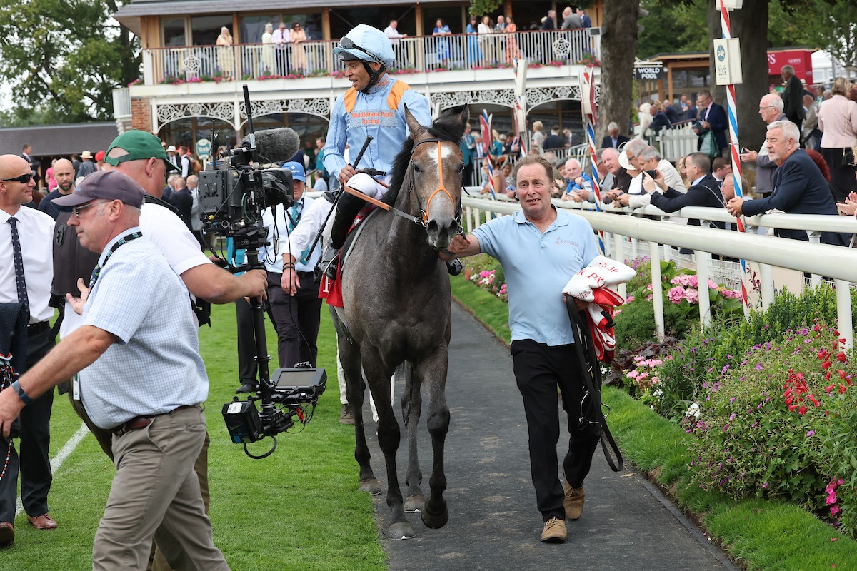 We're all set for the opening day of the Dante Festival!🤩 We've declared SHOULDVEBEENARING for the Group 2 Duke Of York Stakes, with LIGHTENING COMPANY, MONSIEUR KODI and ZIGGY'S CONDOR also on the card. #TeamMPR