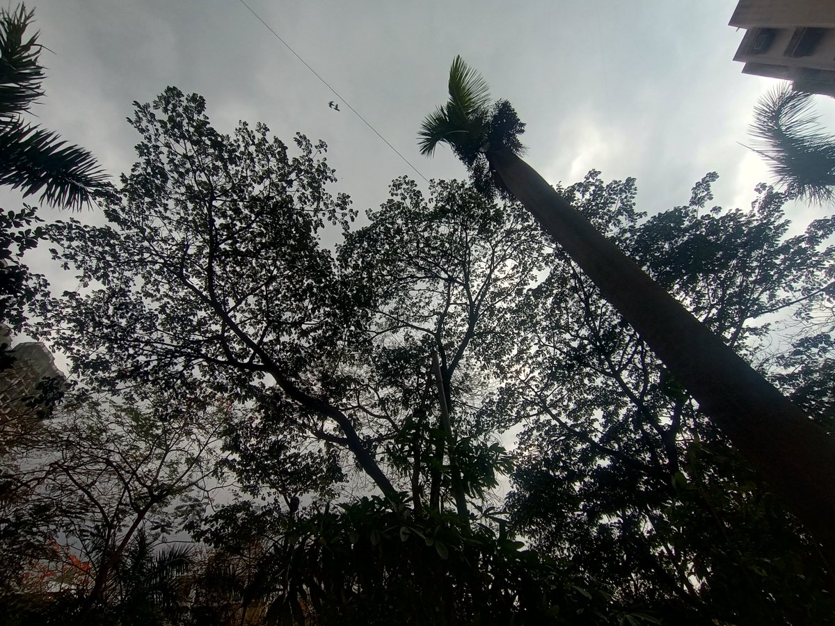 prakashadvani's tweet image. Will it rain in Mumbai today? 

#MumbaiRains #FirstRains