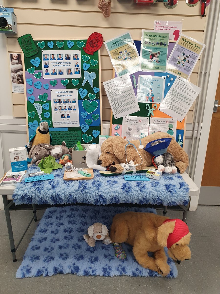 🥇 Don’t forget to enter our #VNAM2024 competition! You could win a prize worth up to £100. Simply show us any activities you are carrying out in May to educate the general public about #WhatVNsDo, just like this fab display from Bridge Vets! 💚 More here; bvna.org.uk/blog/your-vnam…
