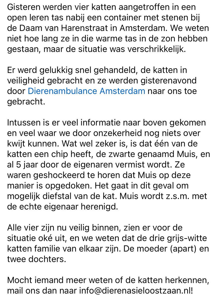 Dierenasiel Oostzaan tweet media
