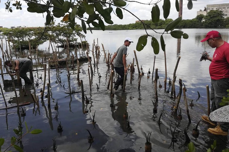 La responsabilidad de los gobiernos es urgente para accionar x nuestro 🌏 y cumplir los #ODS. No tenemos otro para habitar.
#UnaSolaTierra
#GeneracionRestauración
#CiegodeÁvila
@DiazCanelB 
@DrRobertoMOjeda 
@AsambleaCuba 
@PartidoPCC 
@EdMartDiaz 
@citmacuba 
@JHGcasanova