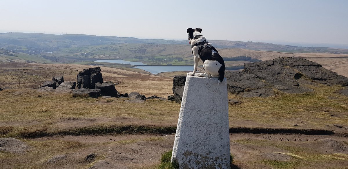 jack valentine tweet media