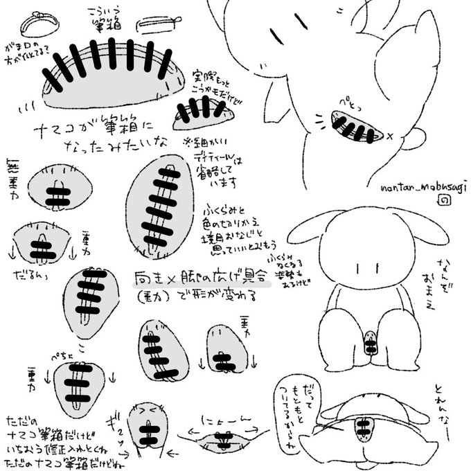 【R18/資料】まんこ(女性器)がナマコの筆箱?がま口?に見える/上・正面・下?から見たまんまん  #モブうさぎ 