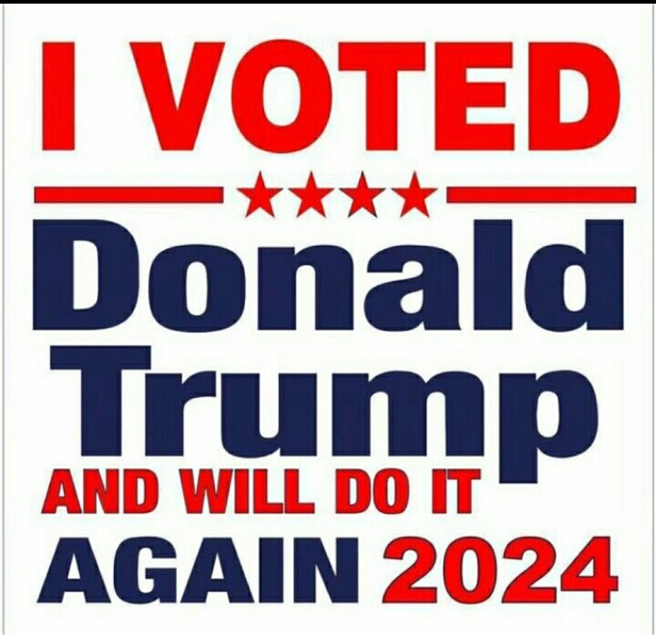 Drop a 🇺🇸 below if you voted for Donald Trump and will do it again in 2024!