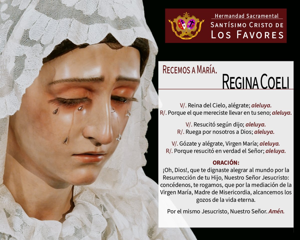 #REGINACOELI
 A las 12:00 h te invitamos a rezar el Regina Coeli a la Santísima Virgen de la Misericordia y poner en sus manos todas tus plegarias e intenciones.
