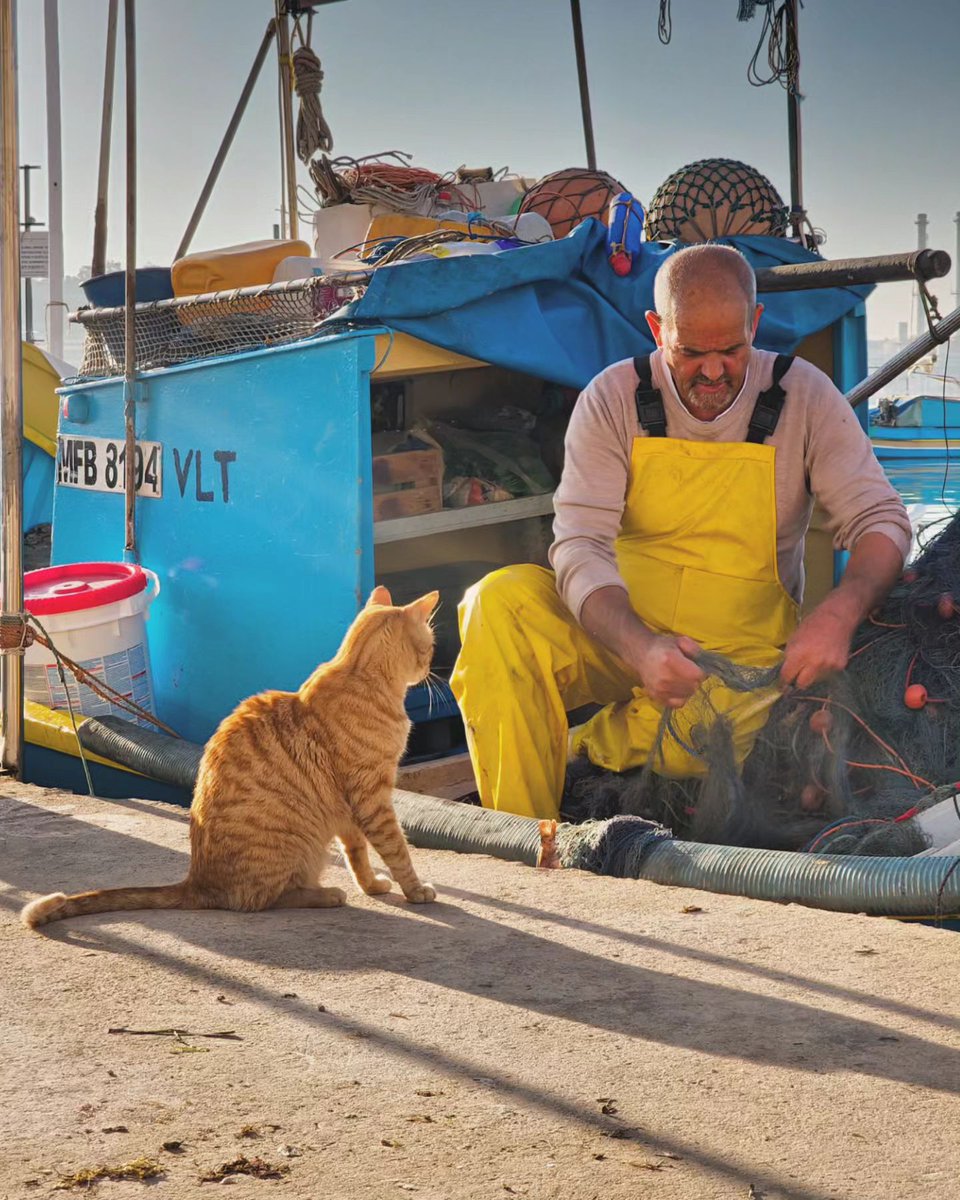 #GoodMorning from the quaint Fishing Village of Marsaxlokk 🐱🐟 [ 📸 @1photo.per.day ] #VisitMalta #ExploreMore #MoreToExplore