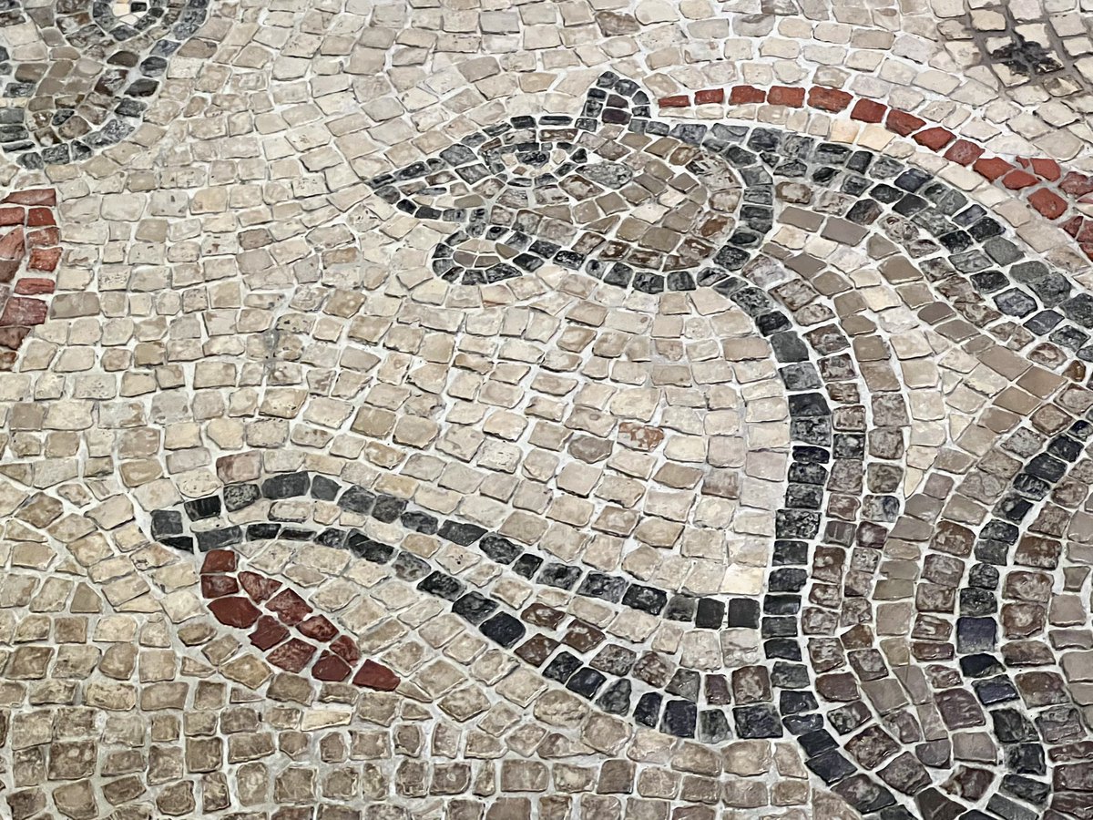 This fragment of an aquatic themed mosaic is from a house in Aquae Sulis. It features mythological fish-tailed horses (hippocamps) and a dolphin. Set on a white lias background, the creatures are made of..(1/2)

C3rd-C4th AD
📷April
#Roman #Archaeology #RomanBritain #MosaicMonday
