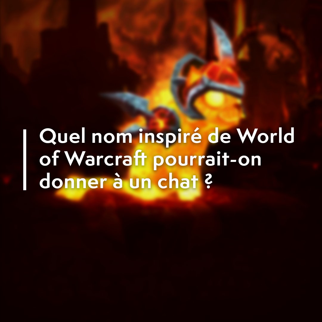 Warcraft FR tweet media