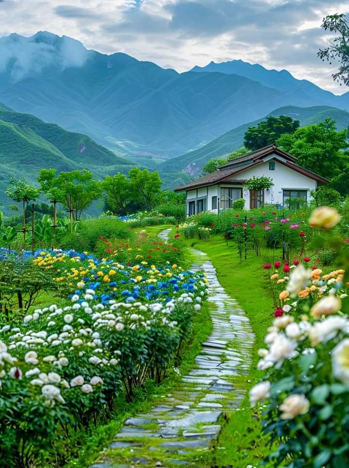 Sari_Friends1's tweet photo. 💚 𝑮𝑶𝑶𝑫 𝑴𝑶𝑹𝑵𝑰𝑵𝑮 💚🌿💚
#naturelovers #nature #NatureBeauty https://t.co/8QIZoF6W3F