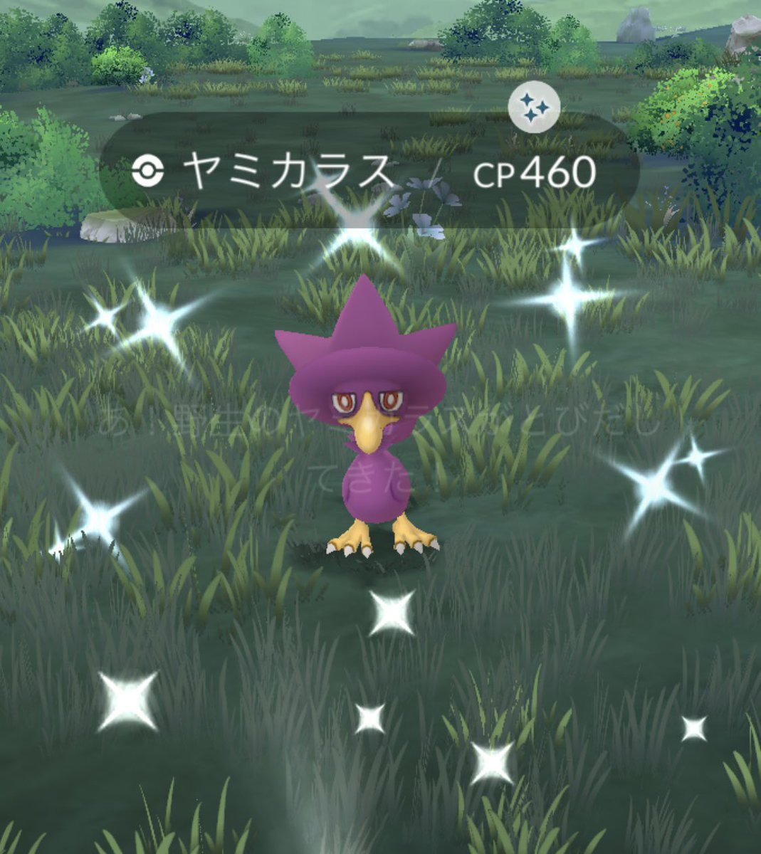 ヤミカラスの色違い初ゲット！
#ポケモンGO