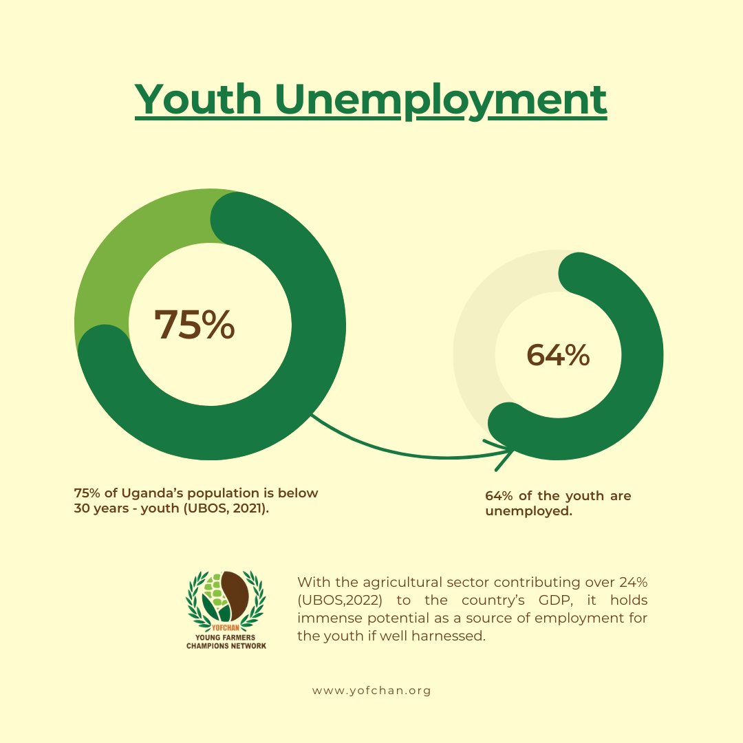 With the agricultural sector contributing over 24% (UBOS,2022) to the country’s GDP, it holds immense potential as a source of employment for the youth if well harnessed. And that's why we exist to transform youth livelihoods through Agriculture.