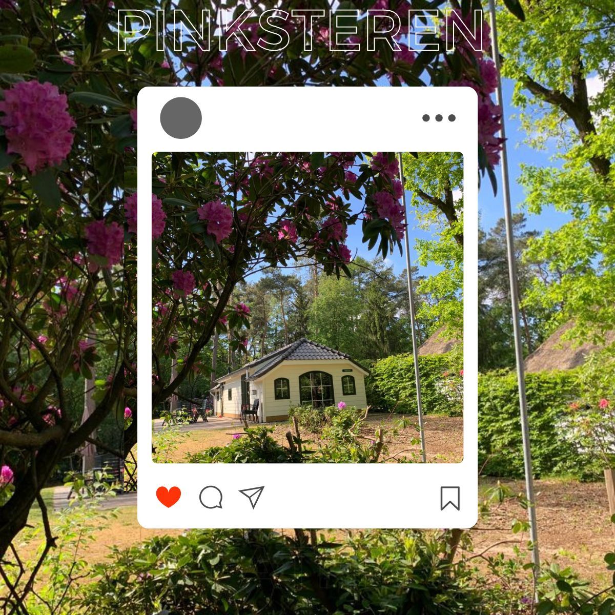 Geniet van een relaxt verblijf op de Veluwe tijdens het Pinksterweekend. Ervaar de rust en prachtige natuur om je heen en maak van dit lange weekend een onvergetelijke ervaring. Ontdek het Recreatieprogramma met leuke activiteiten voor de kinderen. #Veluwe #Pinksteren