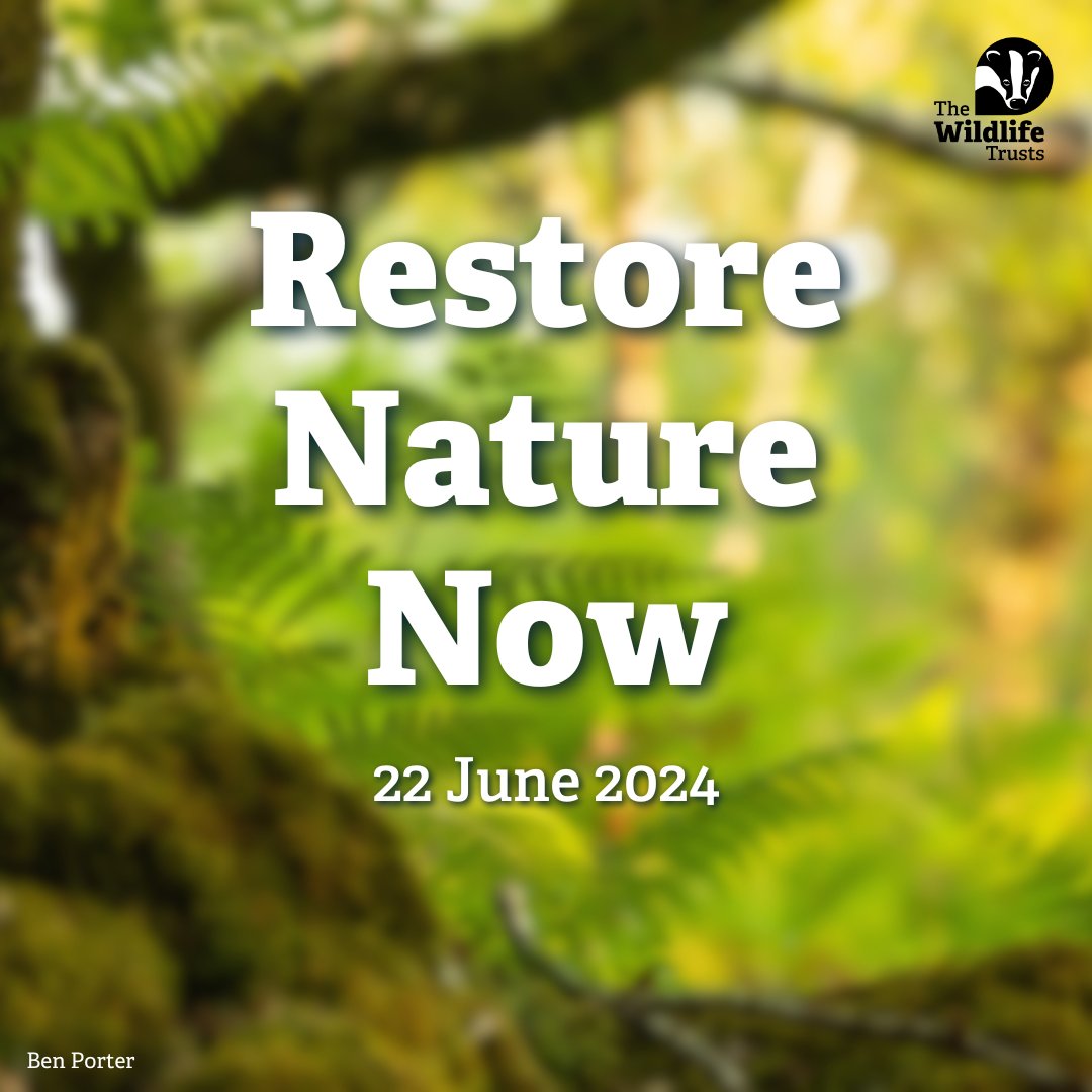 The next generation deserves a future where nature is thriving. 💚 The UK’s leading nature groups are uniting for a peaceful march in London on 22 June, to demand that politicians #RestoreNatureNow 📢 Find out more 👉 restorenaturenow.com