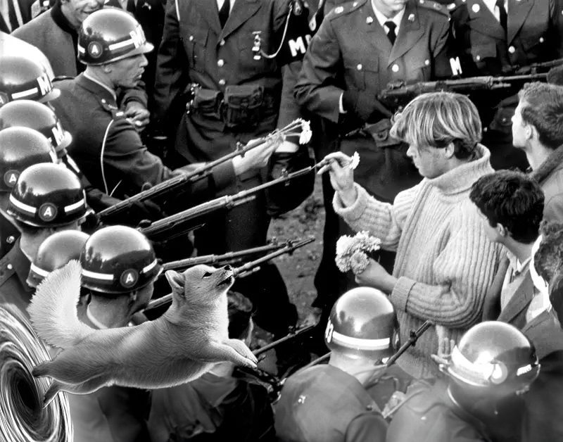 DogeVerse tweet media