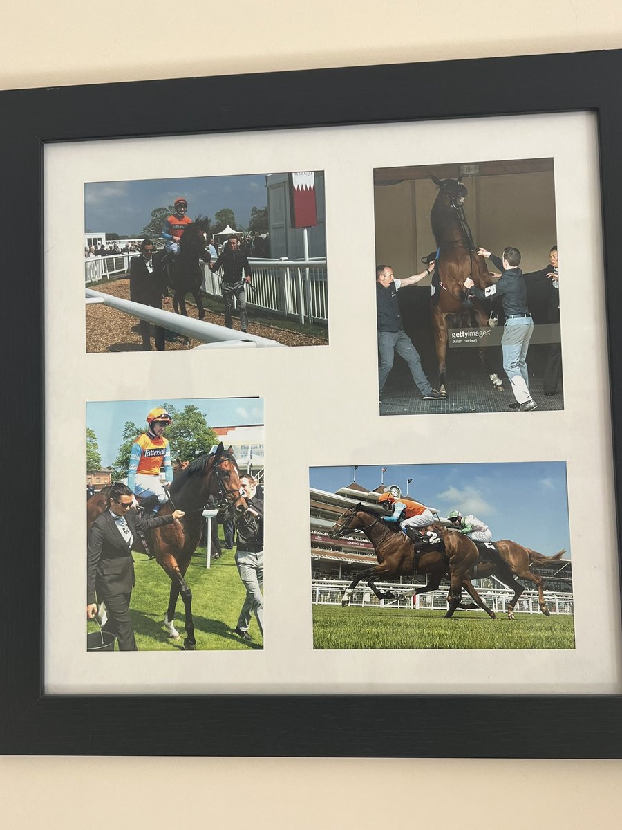 8 years ago to this date… 
13th May 2016 Frankels 1st runner & winner Cunco.. 
wont forget this day in a hurry… #Frankel #Cunco #memories #lifetime #racing #clarehavenstables