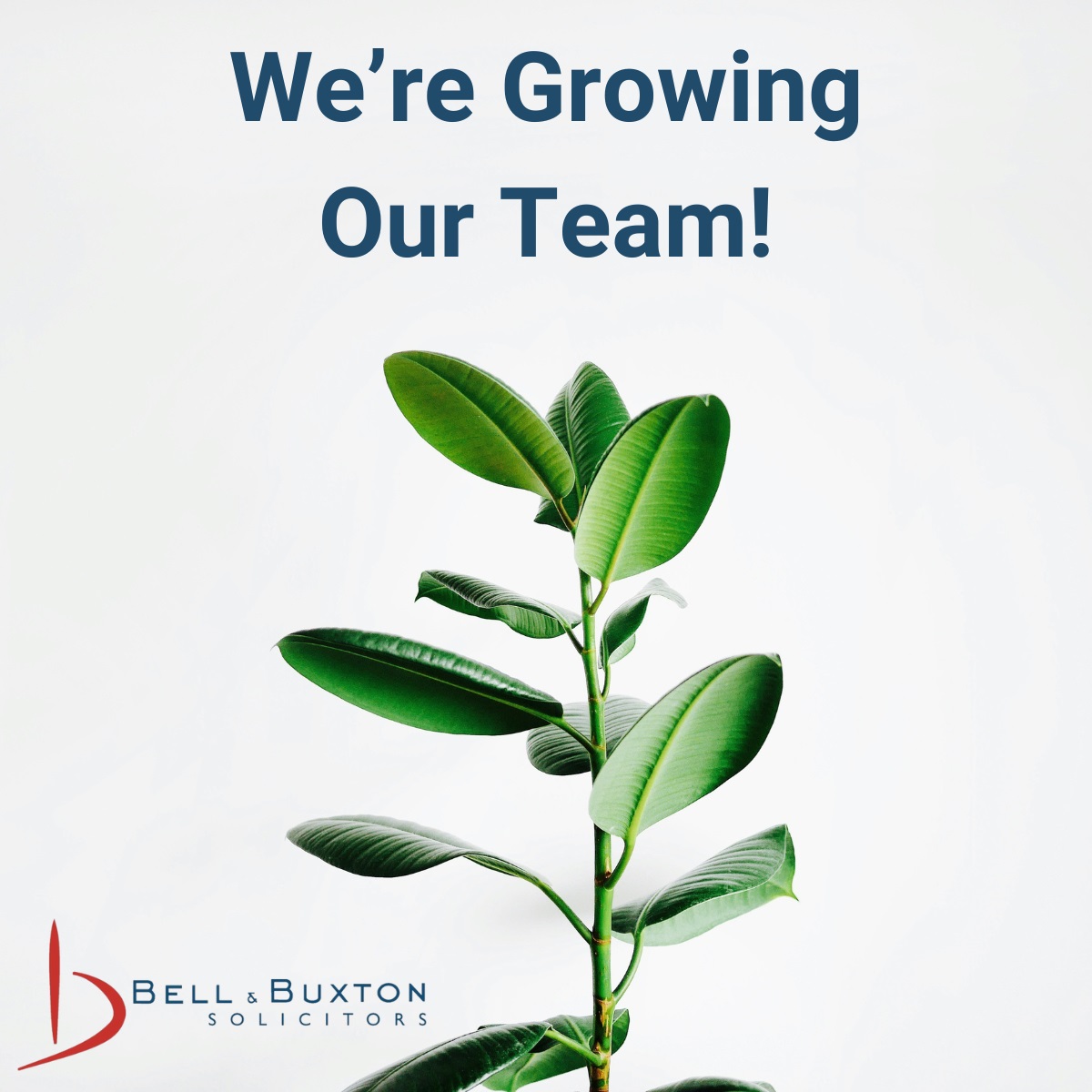 We’re growing! 

We’re looking for a Private Client Solicitor to join our award-winning Private Client Team in #SheffieldisSuper 

To learn more, visit bellbuxton.co.uk/recruitment/jo…