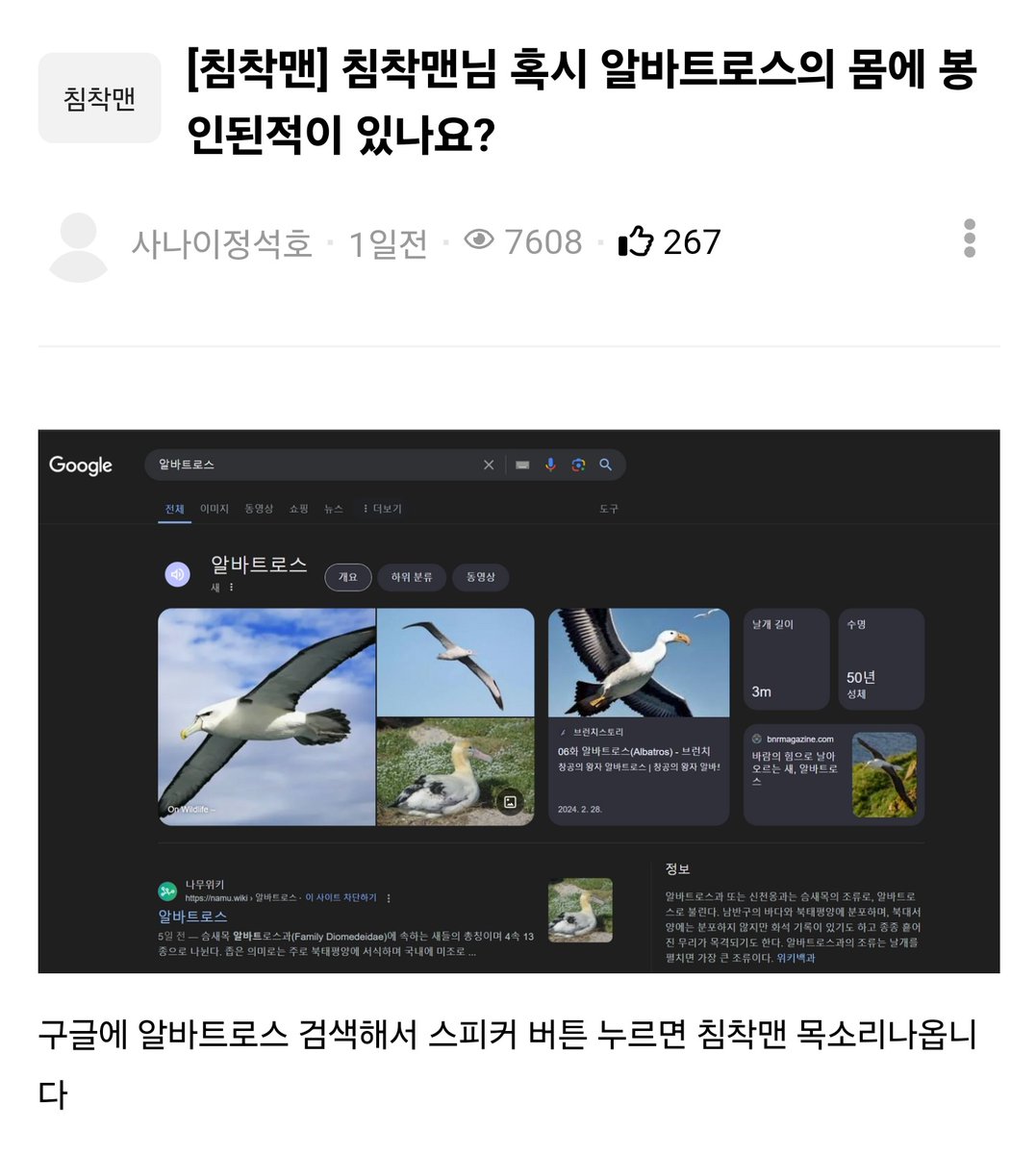 김페페 tweet media