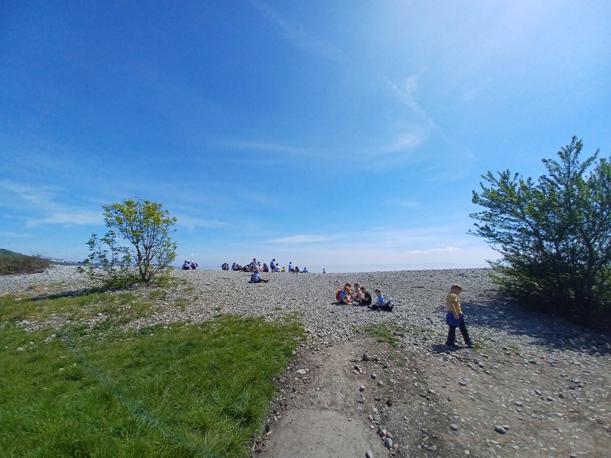 Reflecting back on Year 1’s glorious day at Porthkerry last week ☀️ We started our British Wildlife inquiry by looking at the pond, the sea, the forest and the meadow 🪵🌊 🌺🐟Which area will the children choose to investigate further?