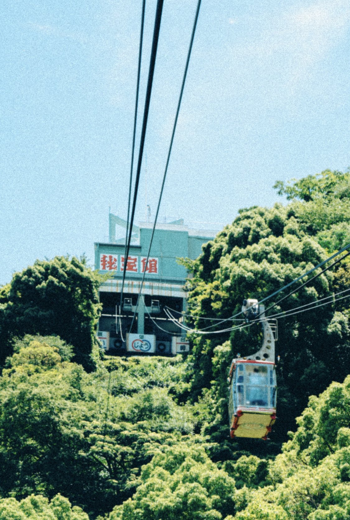 【昭和レトロ】】値下げ♦✰和風鏡台…姿見✰ケヤキ✰カバー付き（おまけ） 昭和レトロ】】値下げ♢✰和風鏡台…姿見✰ケヤキ✰カバー付き