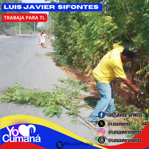 YO♥️CUMANA. 💯𝐀𝐜𝐭𝐢𝐯𝐚𝐬!! Las Cuadrillas de la alcaldía de #Cumana bajo las instrucciones del alcalde @lossifontes llevaron a cabo jornadas de limpieza y mantenimiento desde diferentes espacios de la ciudad. 🟥#Sucre 🟥#5SeñasDelPueblo