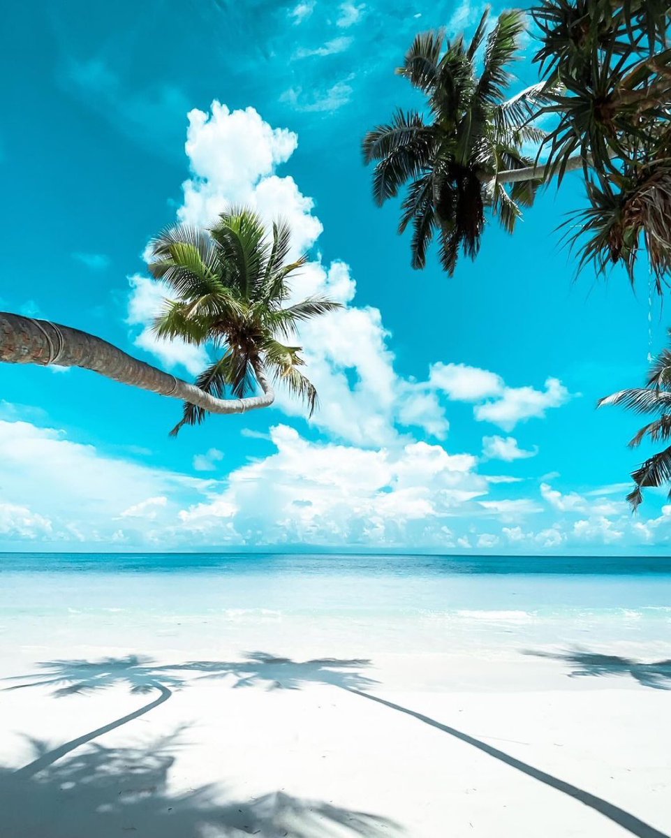 viewsoff_'s tweet image. Beach in Maldives.
