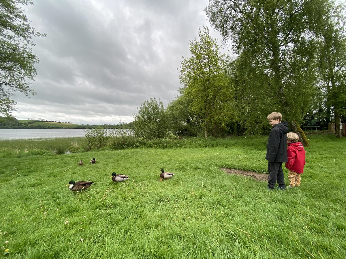 Nature walk with my grandsons this morning at #Emylough they attend #Waldorf school Monaghan.