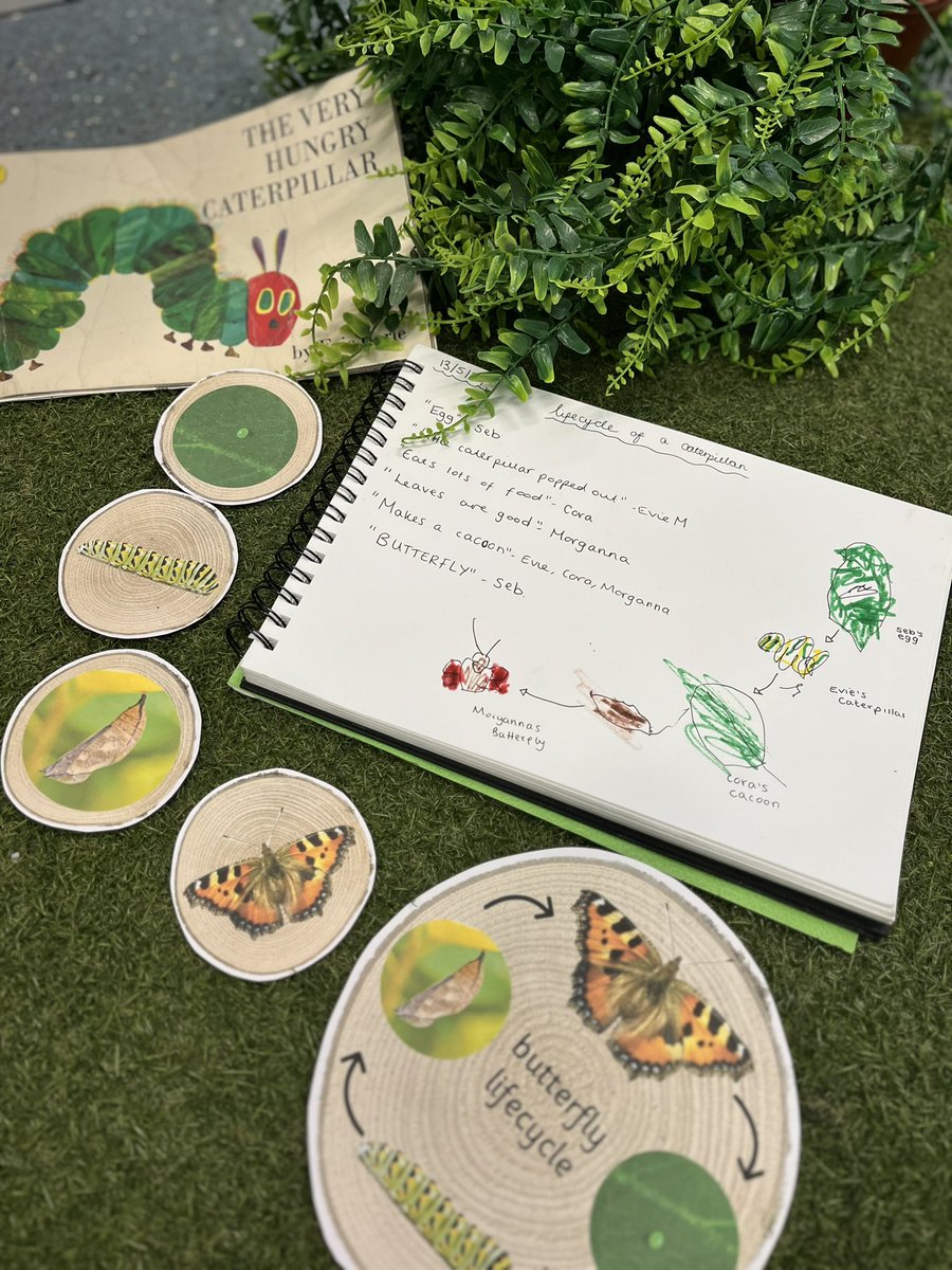 Holtonprimary's tweet photo. A few learners in #HPSNursery questioned how the hungry caterpillar turned into a beautiful butterfly, so together we researched the life cycle using books and models ππ¦ #inquiry #HPSSciTech https://t.co/GQ0Vz8Gw8G