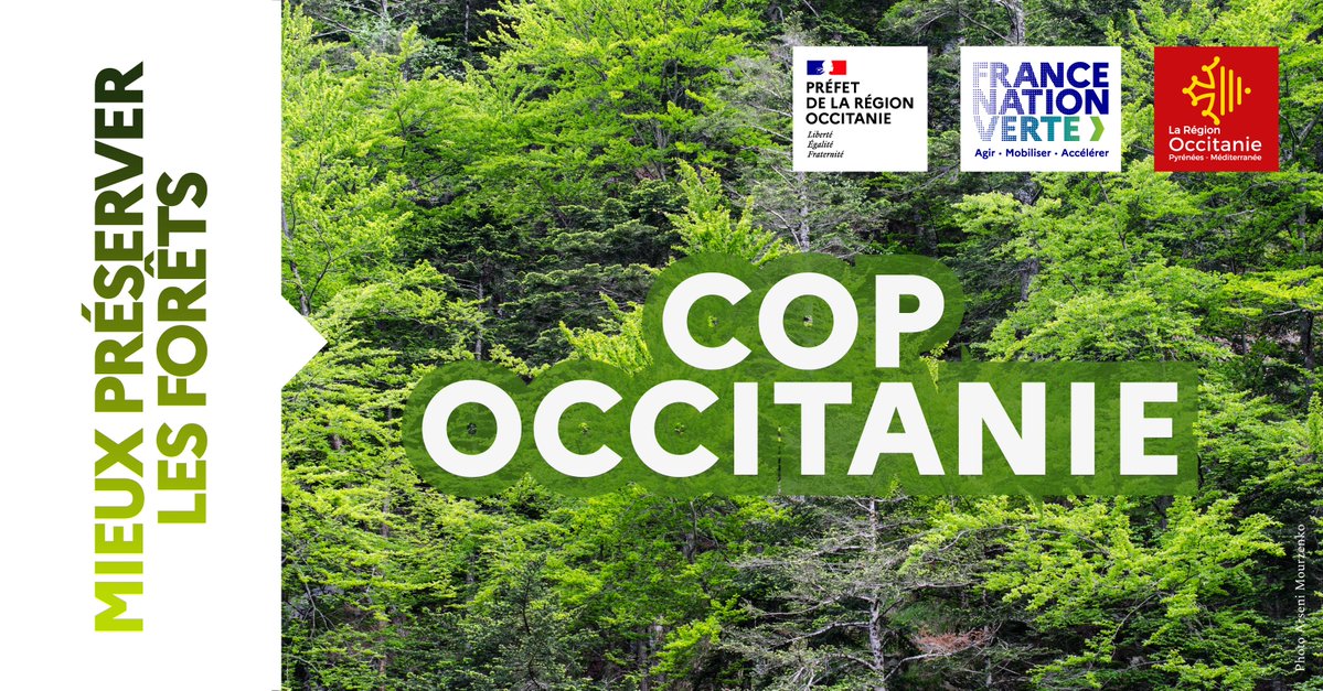 🟢#COP #Occitanie | Une COP régionale en Occitanie 🌲 Avec 36% de son territoire couvert de forêts, l'Occitanie est la 2e région forestière de France. 🪵 En termes de flux commerciaux, la France est excédentaire en bois « rond » (nous exportons plus que nous n’importons de bois