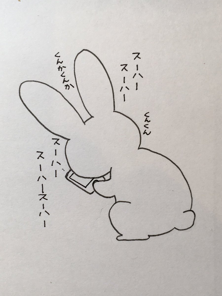 ぬこ吸い 