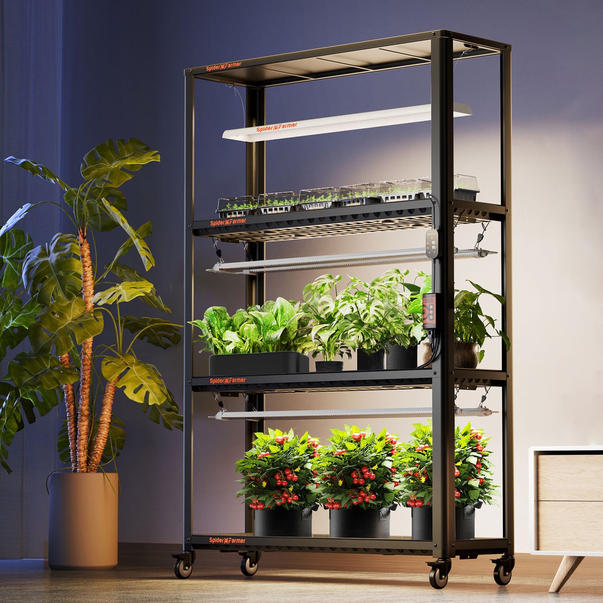 💡Our glow80 is a full spectrum efficient output with low energy consumption，there are 476 lamp beads in total, and the power consumption is only 80W. 🙌With SF600, what kind of vegetables you can grow? spider-farmer.com/?s=glow80&post… #SpiderFarmer #glow80 #SF600 #GIVEAWAY