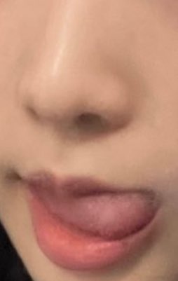 두부 안먹었어요