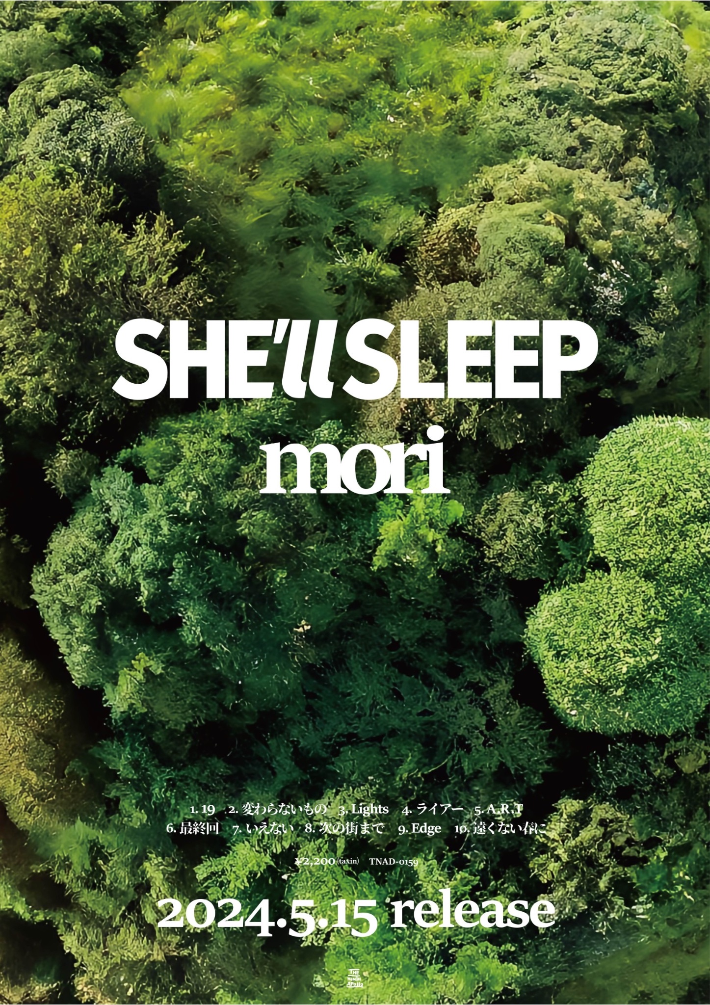 邦楽 SHE'LL SLEEP mori DEMO SHE'll SLEEP on X: 