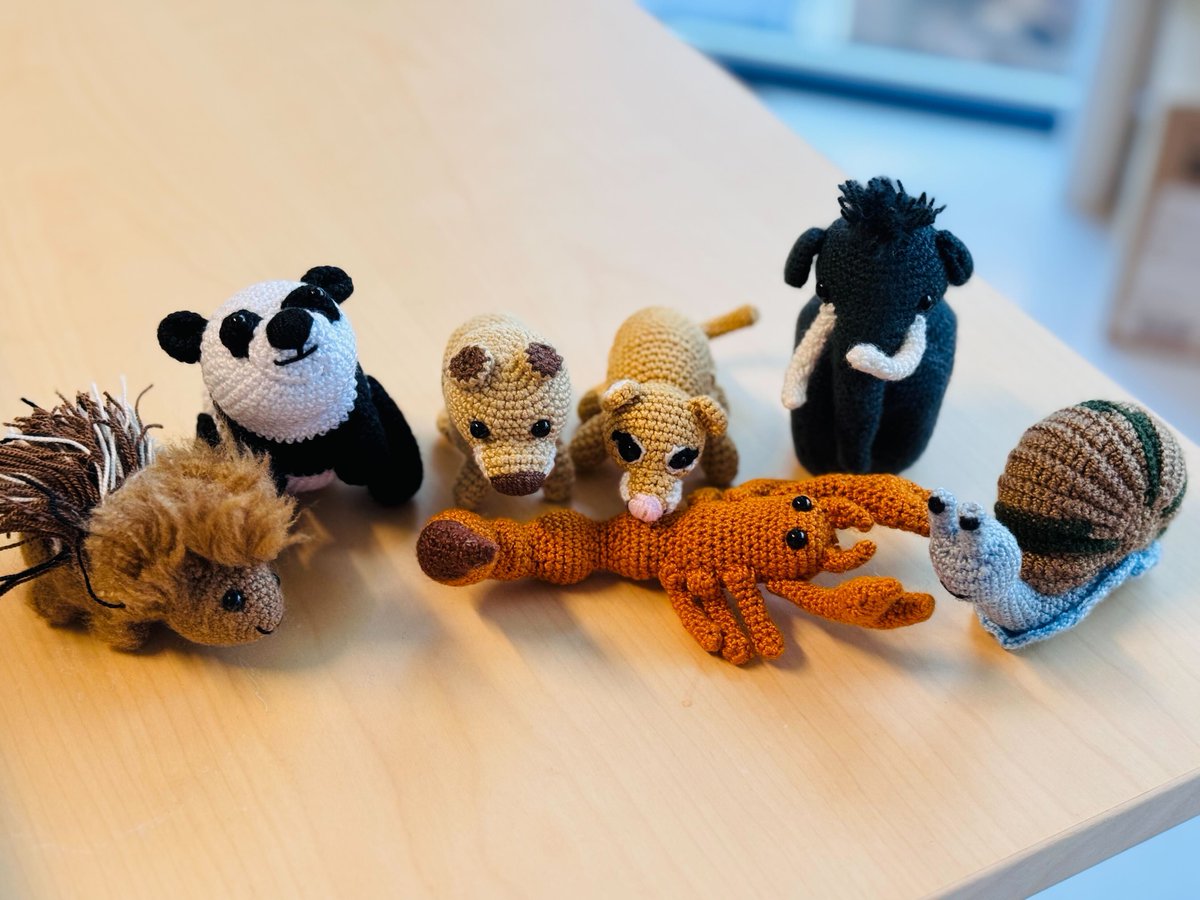 Today is a special day—we finally met @dcosorioh , previous group member and our long-term collaborator, in person 🥳 And we now have an actual physical Zoo at @NCMMnews , including 🦔🐼🐱🦁🦂🦣🐌 😍 (picture by @dcosorioh )