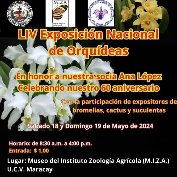 La Sociedad de Cultivadores de Orquideas del Edo. Aragua, invita a la “LIV Exposición Nacional de Orquideas”, este 18 y 19 Mayo/2024, 8:30am-4pm. En las instalaciones de nuestro museo.