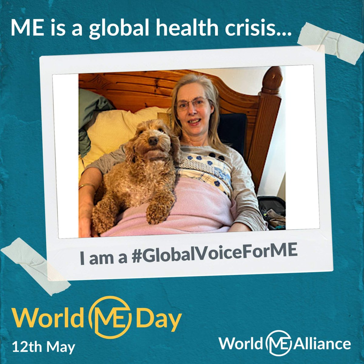 Shout out to all the pets who joined #WorldMEDay as a #GlobalVoiceForME! The comfort, companionship and love you bring, when so many people with #MyalgicEncephalomyelitis live in such isolation, is of great importance. #pwME #Cats #Dogs #Pets #LongCovid #MECFS #EMSFC #MECVS