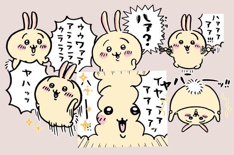 さっきからずっと遊んでる😹 