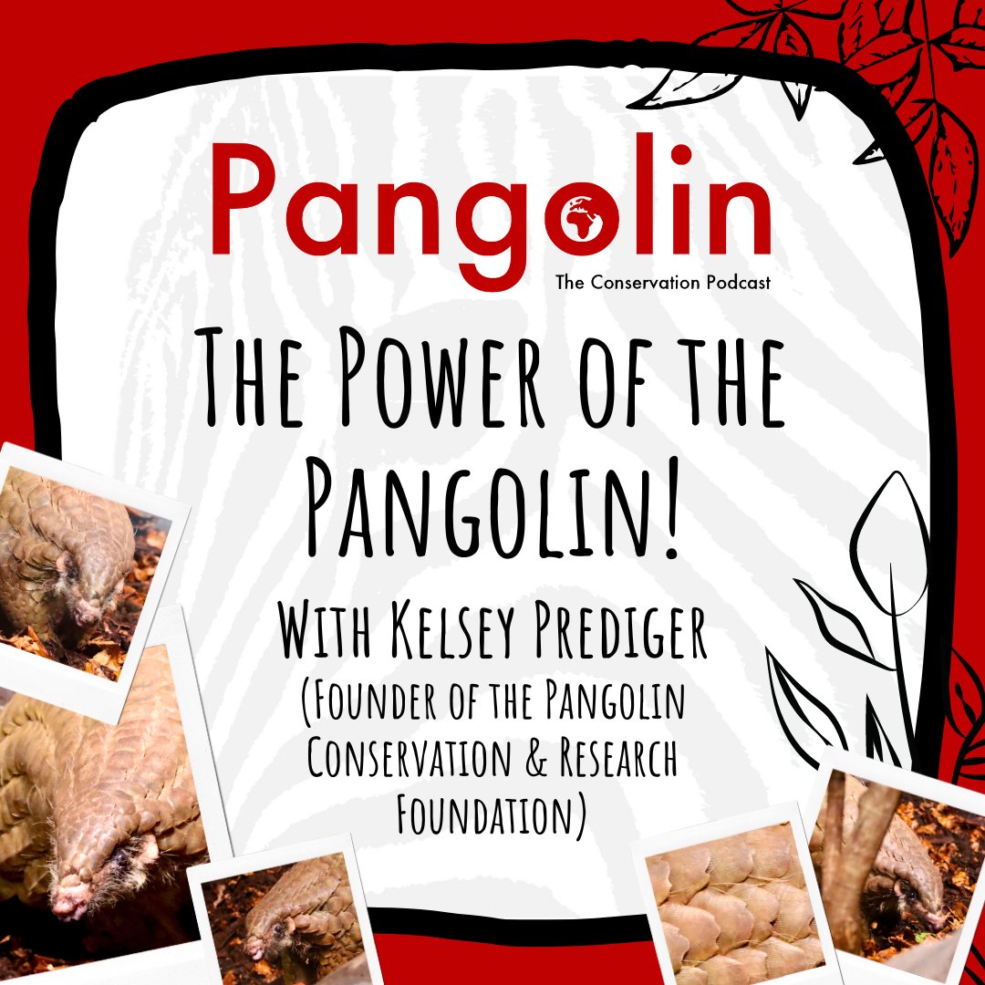 Pangolin: The Conservation Podcast ๐ฆ๐ฆ๐ฆ๐ (@pangolinpodcast) on Twitter photo It is the Season 6 finale! To celebrate, I am rejoined by one of the first people I ever spoke to on the show, the incredible Kelsey Prediger! โจ
Check out our chat here:
Spotify: open.spotify.com/episode/7uCqiWโฆ
Apple: podcasts.apple.com/gb/podcast/panโฆ
Everyone else:
linktr.ee/pangolinpodcast It is the Season 6 finale! To celebrate, I am rejoined by one of the first people I ever spoke to on the show, the incredible Kelsey Prediger! โจ
Check out our chat here:
Spotify: open.spotify.com/episode/7uCqiWโฆ
Apple: podcasts.apple.com/gb/podcast/panโฆ
Everyone else:
linktr.ee/pangolinpodcast