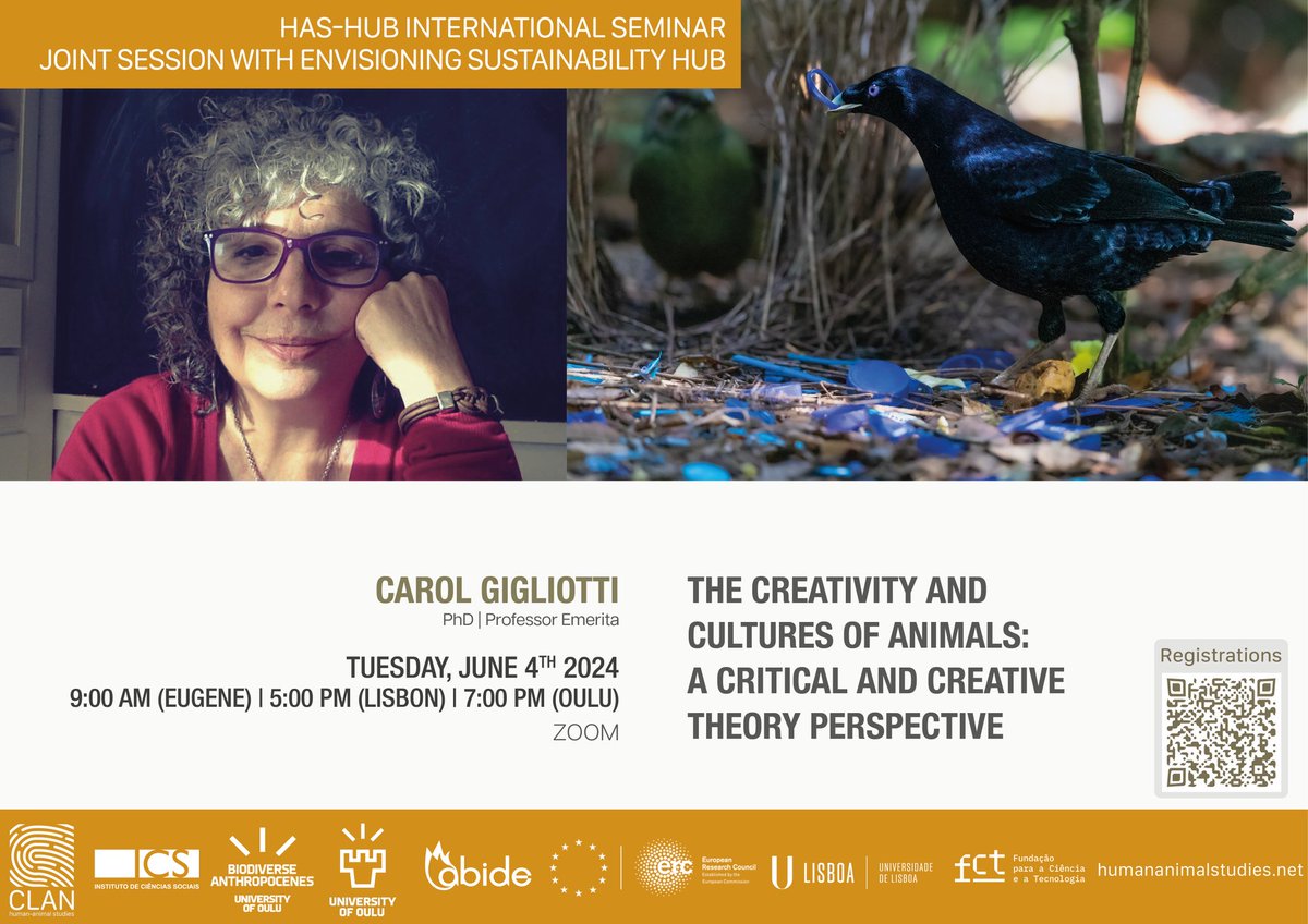 HAS-HUB INTERNATIONAL SEMINAR | JUNE 4th 2024 
5pm Lisbon, PT | 7pm Oulu, FI | 9am Eugene, USA 
We are very honoured to have with us Professor Carol Gigliotti as our guest speaker, to talk about her work on animal’s creativity and cultures.